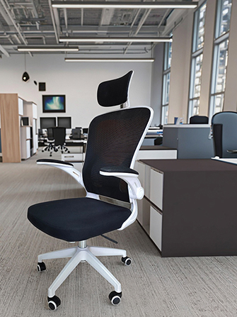 Meeting Chair1.jpg
