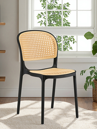 plastic dining chair(1).jpg