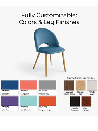 dining room chair.jpg