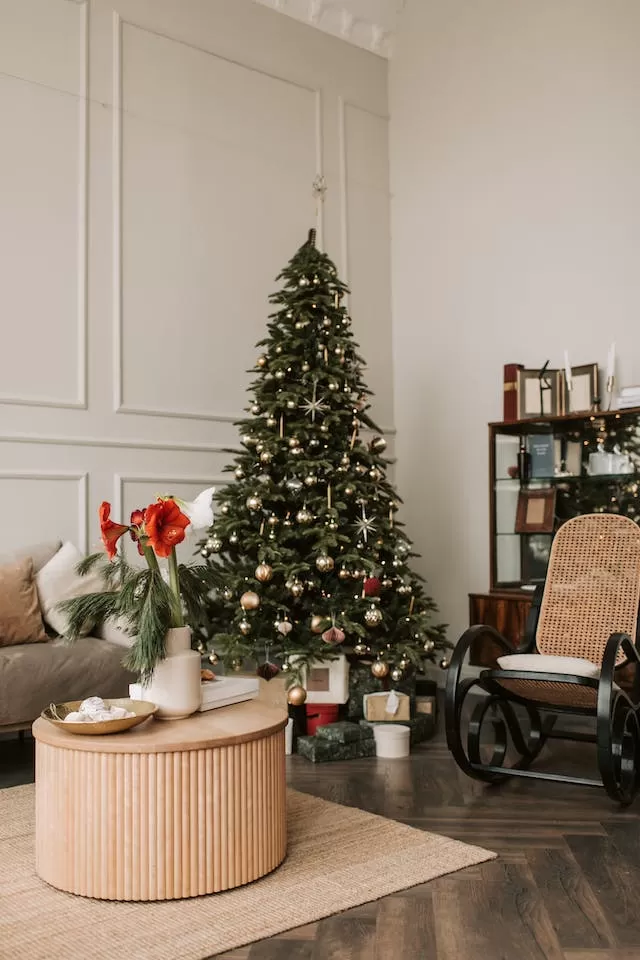 How to decorate your home for Christmas? You will know it after reading it.